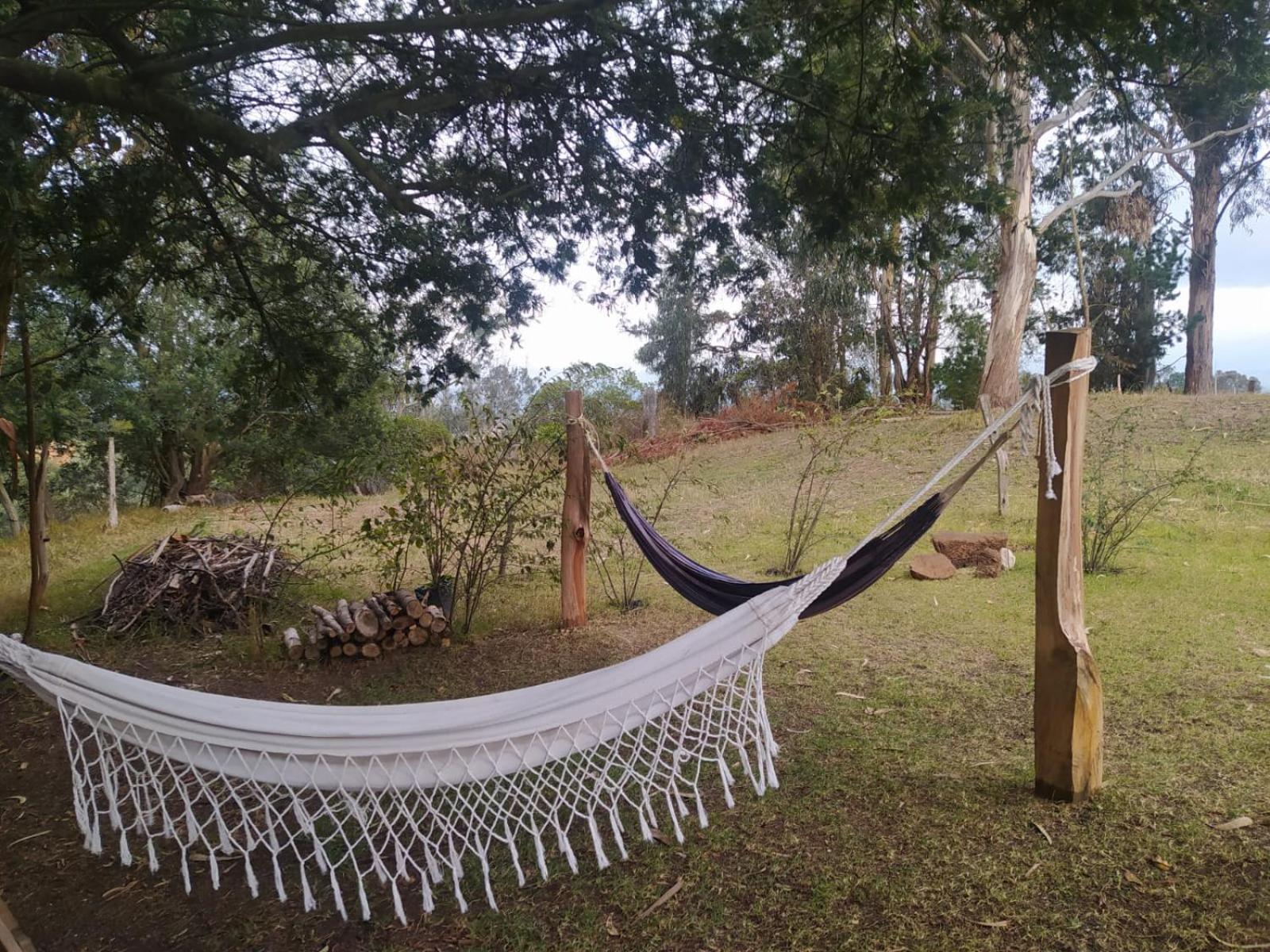 Eco-Cabana Piemonte Guasca Luaran gambar